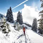 In Vonnes With Stunning Mountain Views * Châtel