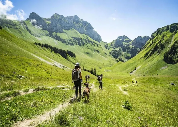 Lägenhet In Vonnes With Stunning Mountain Views *